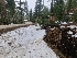  ( - FDS-CA-04210)  @11 [ ] by-nc (2024) Fresno Mycology Society Fungal Diversity Survey