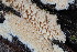  ( - HAY-F-000844)  @11 [ ] cc-by-nc (2023) Warren Cardimona FunDiS