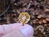  ( - FDS-CA-04238)  @11 [ ] by-nc (2024) Fresno Mycology Society Fungal Diversity Survey