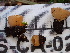  ( - FDS-CA-02342)  @11 [ ] by-nc (2024) Jaren Hockert Fungal Diversity Survey