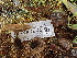  ( - FDS-CA-02372)  @11 [ ] by-nc (2024) Jaren Hockert Fungal Diversity Survey