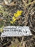  ( - FDS-CA-02095)  @11 [ ] by-nc (2024) Bat Vardeh Fungal Diversity Survey