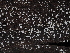  ( - FDS-CA-03357)  @11 [ ] by (2024) Justin Paulin Fungal Diversity Survey