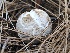  ( - FDS-CA-00142)  @11 [ ] by-nc (2024) Taye Bright Fungal Diversity Survey