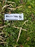  ( - FDS-CA-05288)  @11 [ ] c (2024) Andrew Claassen Fungal Diversity Survey