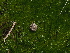  ( - FDS-CA-04698)  @11 [ ] by (2024) Justin Paulin Fungal Diversity Survey