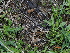  ( - FDS-CA-04708)  @11 [ ] by (2024) Justin Paulin Fungal Diversity Survey