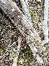  ( - HAY-F-000415)  @11 [ ] cc-by-nc (2023) Damon Tighe FunDiS