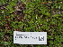  ( - FDS-CA-04262)  @11 [ ] by-nc (2024) Fresno Mycology Society Fungal Diversity Survey