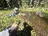  ( - FDS-CA-00227)  @11 [ ] by-nc (2024) Dean Lyons Fungal Diversity Survey