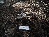  ( - FDS-CA-04273)  @11 [ ] by-nc (2024) Fresno Mycology Society Fungal Diversity Survey
