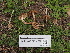  ( - FDS-CA-04279)  @11 [ ] by-nc (2024) Fresno Mycology Society Fungal Diversity Survey