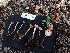 ( - FDS-CA-02499)  @11 [ ] by-nc (2024) Jaren Hockert Fungal Diversity Survey