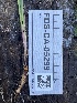  ( - FDS-CA-05299)  @11 [ ] by-nc (2024) Damon Tighe Fungal Diversity Survey