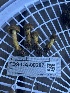 ( - FDS-CA-00287)  @11 [ ] by-nc (2024) Dean Lyons Fungal Diversity Survey