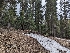  ( - FDS-CA-00803)  @11 [ ] by-nc (2024) Warren Cardimona Fungal Diversity Survey