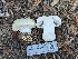  ( - FDS-CA-00810)  @11 [ ] by-nc (2024) Warren Cardimona Fungal Diversity Survey