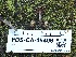  (Cortinarius tenebricus - FDS-CA-05406)  @11 [ ] by-nc (2024) Unspecified Fungal Diversity Survey