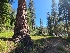  ( - FDS-CA-05939)  @11 [ ] by-nc (2024) Fresno Mycology Society Fungal Diversity Survey