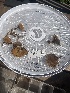  ( - FDS-CA-04828)  @11 [ ] by-nc (2024) Dean Lyons Fungal Diversity Survey