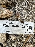  ( - FDS-CA-04493)  @11 [ ] by-nc (2024) Bat Vardeh Fungal Diversity Survey