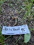  ( - FDS-CA-06815)  @11 [ ] by-nc (2024) Stu Pickell Fungal Diversity Survey