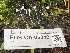  ( - FDS-CA-05349)  @11 [ ] by-nc (2024) Damon Tighe Fungal Diversity Survey