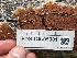  ( - FDS-CA-05381)  @11 [ ] by-nc (2024) Damon Tighe Fungal Diversity Survey