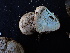  ( - FDS-CA-02446)  @11 [ ] by-nc (2024) Jaren Hockert Fungal Diversity Survey