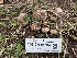  ( - FDS-CA-05694)  @11 [ ] c (2024) Andrew Claassen Fungal Diversity Survey