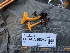  ( - FDS-CA-05257)  @11 [ ] c (2024) Andrew Claassen Fungal Diversity Survey