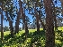  ( - FDS-CA-00833)  @11 [ ] by-nc (2024) Warren Cardimona Fungal Diversity Survey