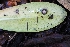  ( - FDS-CA-00827)  @11 [ ] by-nc (2024) Warren Cardimona Fungal Diversity Survey