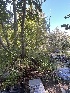  ( - FDS-CA-05844)  @11 [ ] by-nc (2024) Dean Lyons Fungal Diversity Survey
