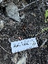  ( - FDS-CA-05829)  @11 [ ] by-nc (2024) Dean Lyons Fungal Diversity Survey