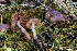  ( - FDS-CA-05860)  @11 [ ] by-nc (2024) Dean Lyons Fungal Diversity Survey