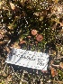  ( - FDS-CA-05863)  @11 [ ] by-nc (2024) Dean Lyons Fungal Diversity Survey