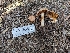  ( - HAY-F-002008)  @11 [ ] Unspecified (default): All Rights Reserved (2023) Stu Pickell FunDiS