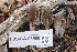  ( - FDS-CA-06586)  @11 [ ] by-nc (2024) Taye Bright Fungal Diversity Survey