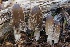  ( - FDS-CA-06586)  @11 [ ] by-nc (2024) Taye Bright Fungal Diversity Survey