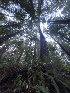  ( - FDS-CA-08554)  @11 [ ] by-nc (2024) Dean Lyons Fungal Diversity Survey