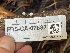  ( - FDS-CA-07882)  @11 [ ] by-nc (2024) Damon Tighe Fungal Diversity Survey