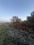  ( - FDS-CA-08527)  @11 [ ] by-nc (2024) Dean Lyons Fungal Diversity Survey