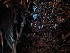  ( - FDS-CA-06650)  @11 [ ] by (2024) Justin Paulin Fungal Diversity Survey