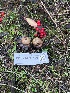  ( - FDS-CA-07406)  @11 [ ] by-nc (2024) Dean Lyons Fungal Diversity Survey