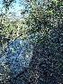  ( - HAY-F-001991)  @11 [ ] Unspecified (default): All Rights Reserved (2023) Stu Pickell FunDiS