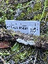  ( - FDS-CA-08491)  @11 [ ] by-nc (2024) Dean Lyons Fungal Diversity Survey
