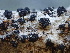  (Diatrype - FDS-CA-08492)  @11 [ ] by-nc (2024) Dean Lyons Fungal Diversity Survey