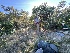  ( - FDS-CA-08591)  @11 [ ] by-nc (2024) Dean Lyons Fungal Diversity Survey