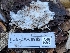  ( - FDS-CA-06982)  @11 [ ] by-nc (2024) Stu Pickell Fungal Diversity Survey